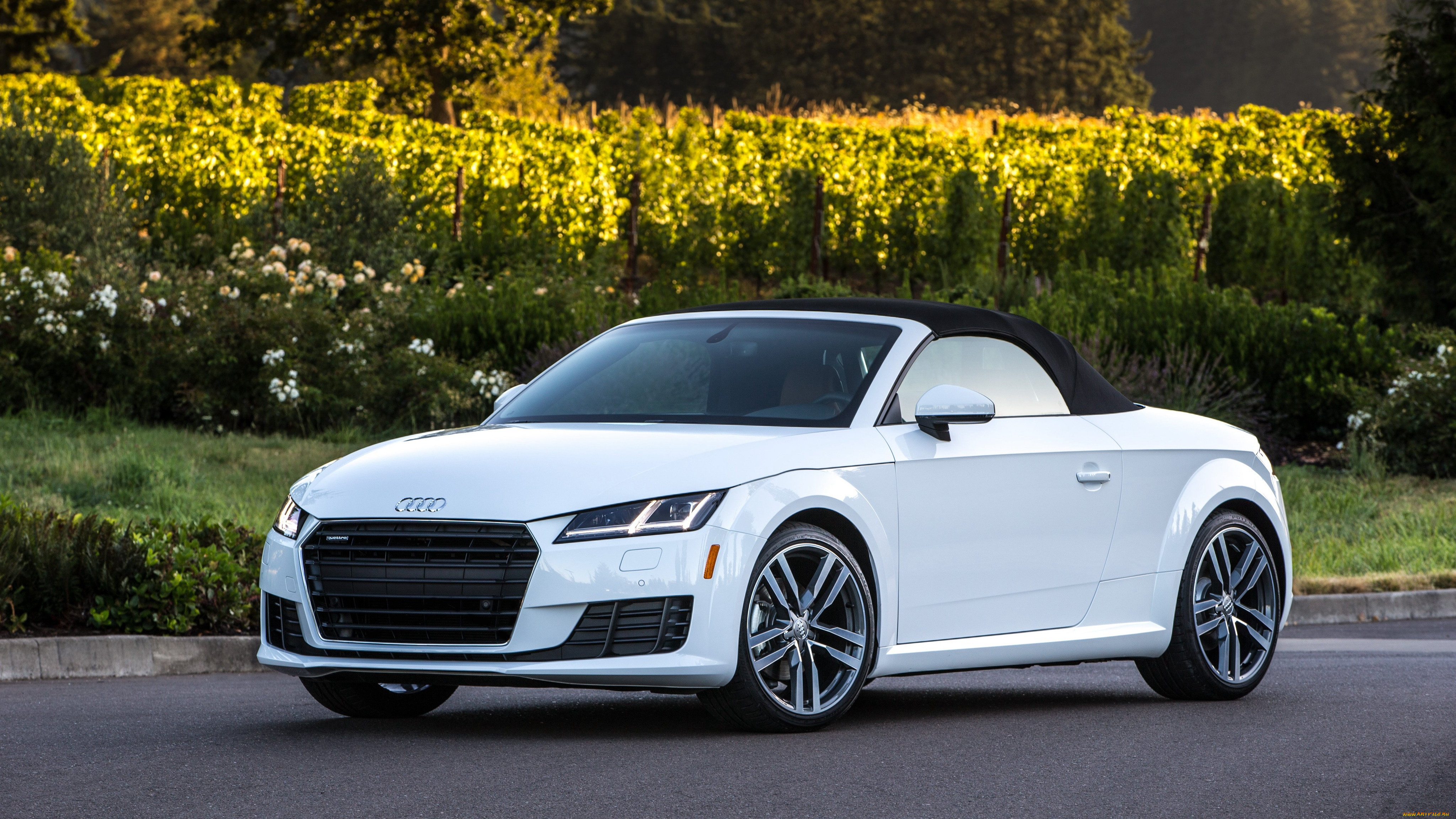 , audi, 2016, tt, roadster, 2-0, tfsi, quattro, us-spec, 8s, 